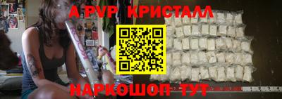 хмурый Кингисепп