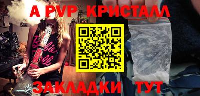 хмурый Кингисепп