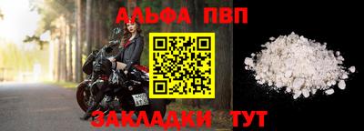 хмурый Кингисепп