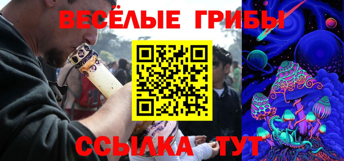 Галлюциногенные грибы GOLDEN TEACHER Комсомольск-на-Амуре