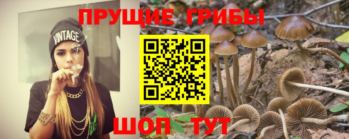 Комсомольск-на-Амуре  Псилоцибиновые грибы прущие грибы  Псилоцибиновые грибы MAGIC MUSHROOMS  Вход с VPN 